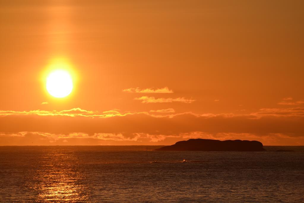 Midnattsol Rom Og Hytter Bleik Exterior foto