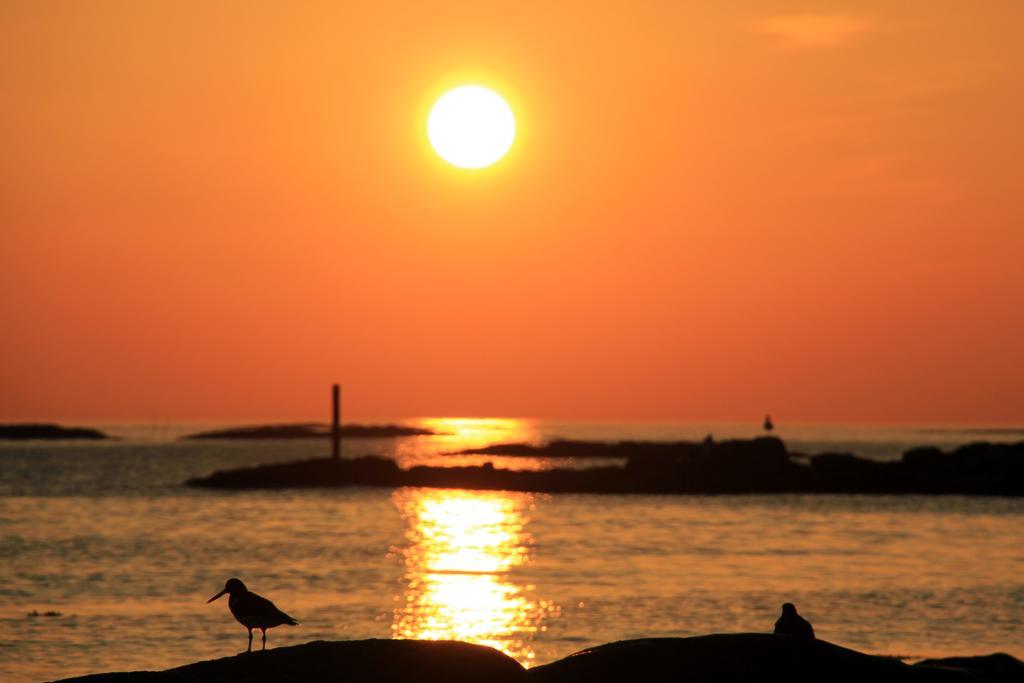 Midnattsol Rom Og Hytter Bleik Exterior foto